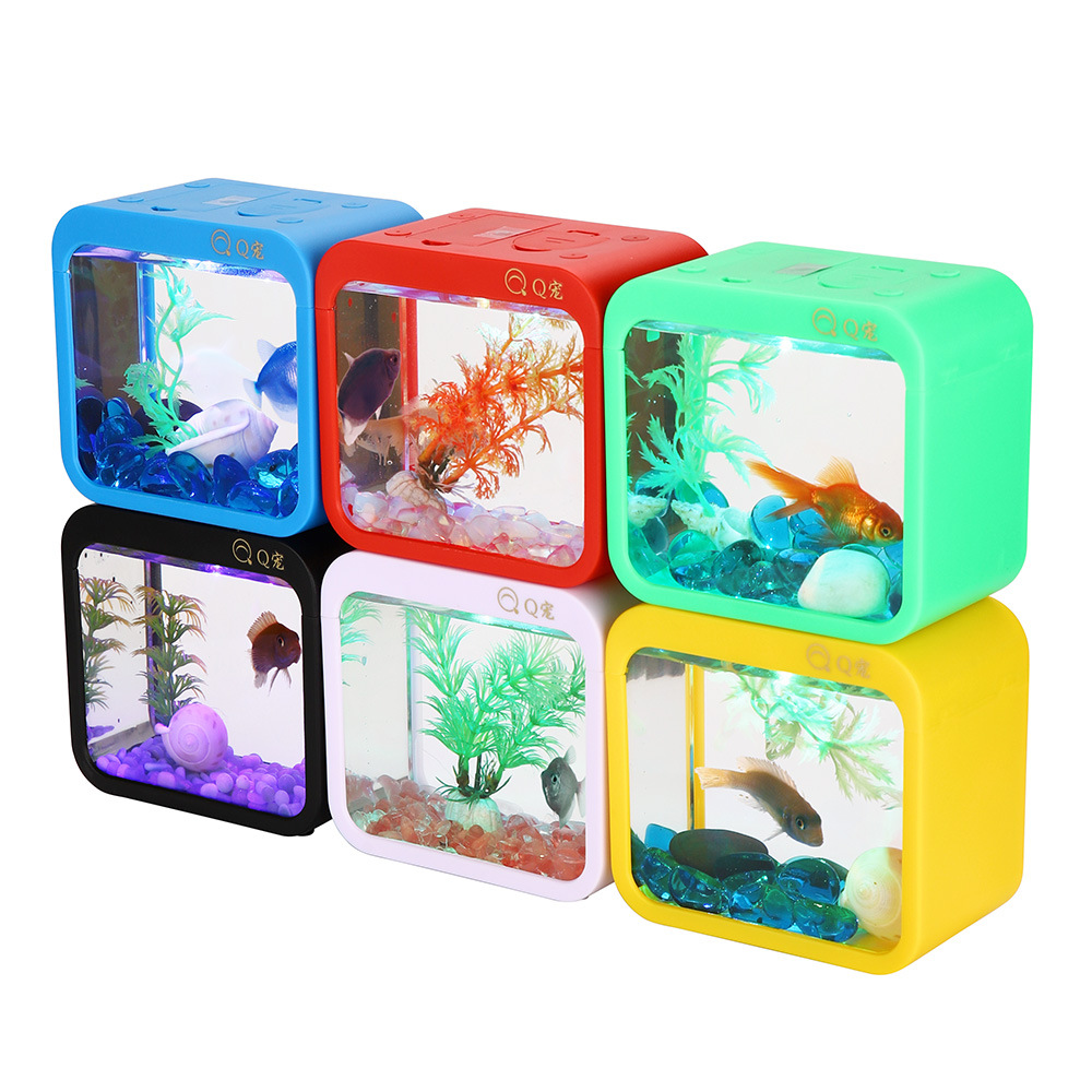 Aquarium Fish Colorful - Colorful Creative Betta Box With Light,