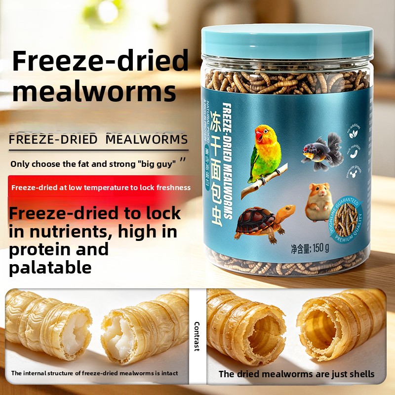 Aquarium Fish Colorful - VOONLINE Freeze Dried Mealworms Fish &