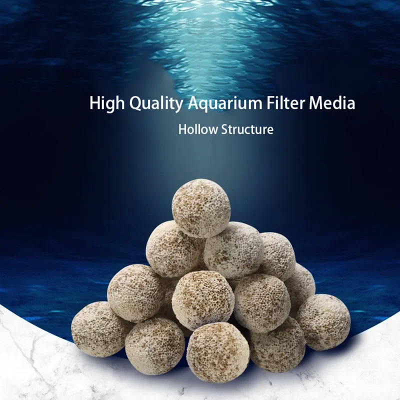 Aquarium Fish Quality - 10pcs 20pcs High Quality Aquarium Bio