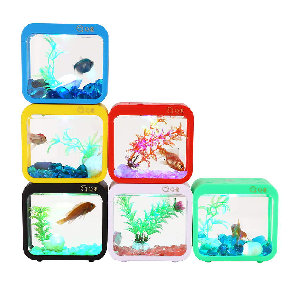 Colorful Creative Betta Box Wi - Aquarium Fish Colorful ulasan dan harga