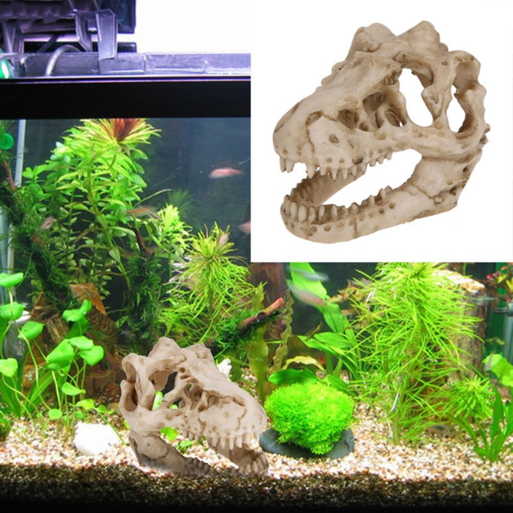 Creative Simulation Dinosaur S - Aquarium Fish Hideout ulasan dan harga