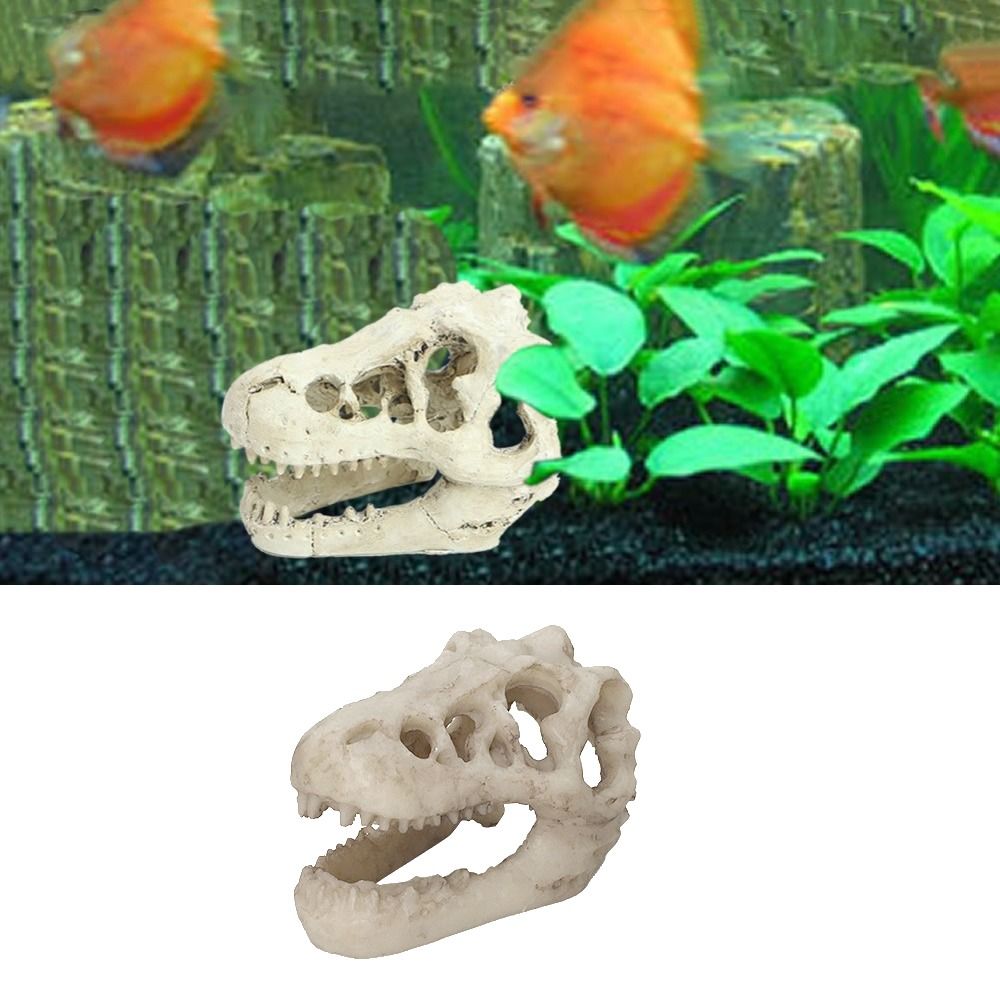 Creative Simulation Dinosaur S - Aquarium Fish Hideout ulasan dan harga