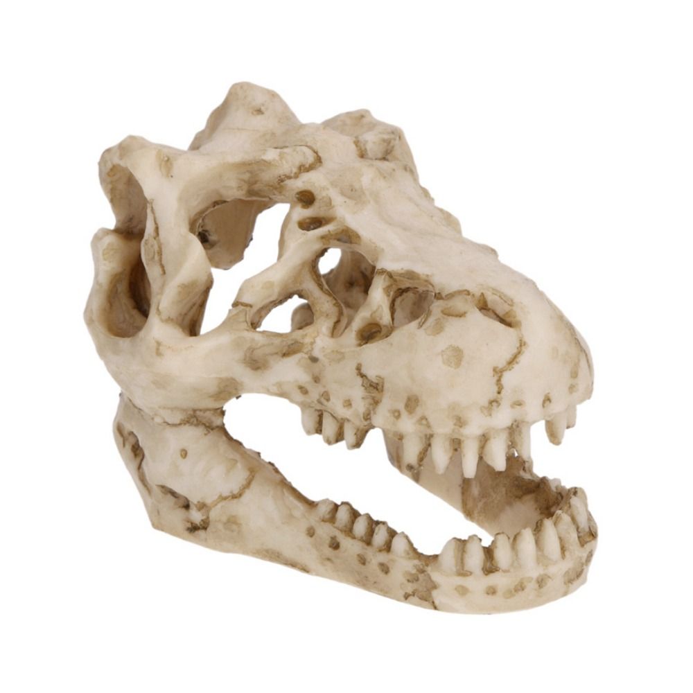 Creative Simulation Dinosaur S - Aquarium Fish Hideout ulasan dan harga