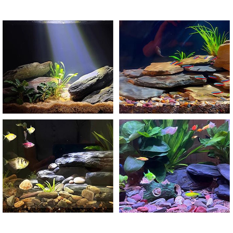 500/1000g Fish Tank Landscape  - Aquarium Fish Bowl ulasan dan harga