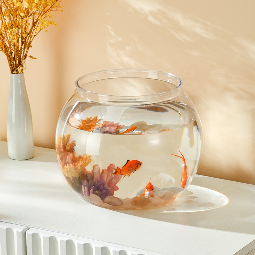 Home Decor Clear Transparent R - Aquarium Fish Names ulasan dan harga