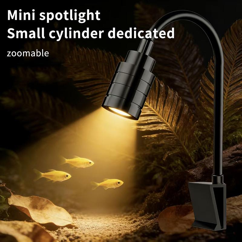 3W South American Aquarium Spo - Aquarium Fish Colorful ulasan dan harga