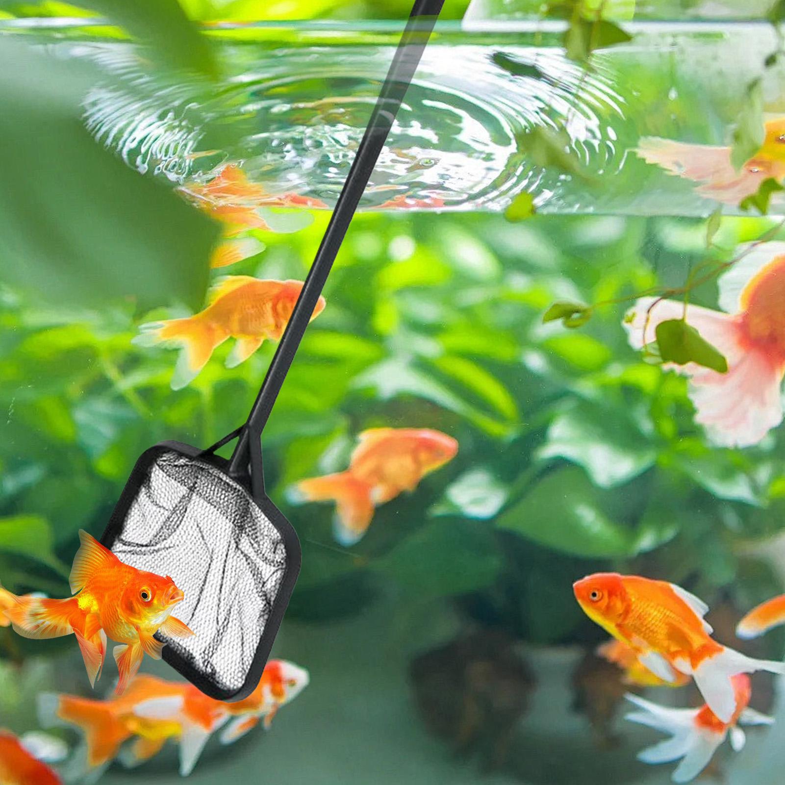 Pool Nets for Cleaning Portabl - Aquarium Fish Bowl ulasan dan harga