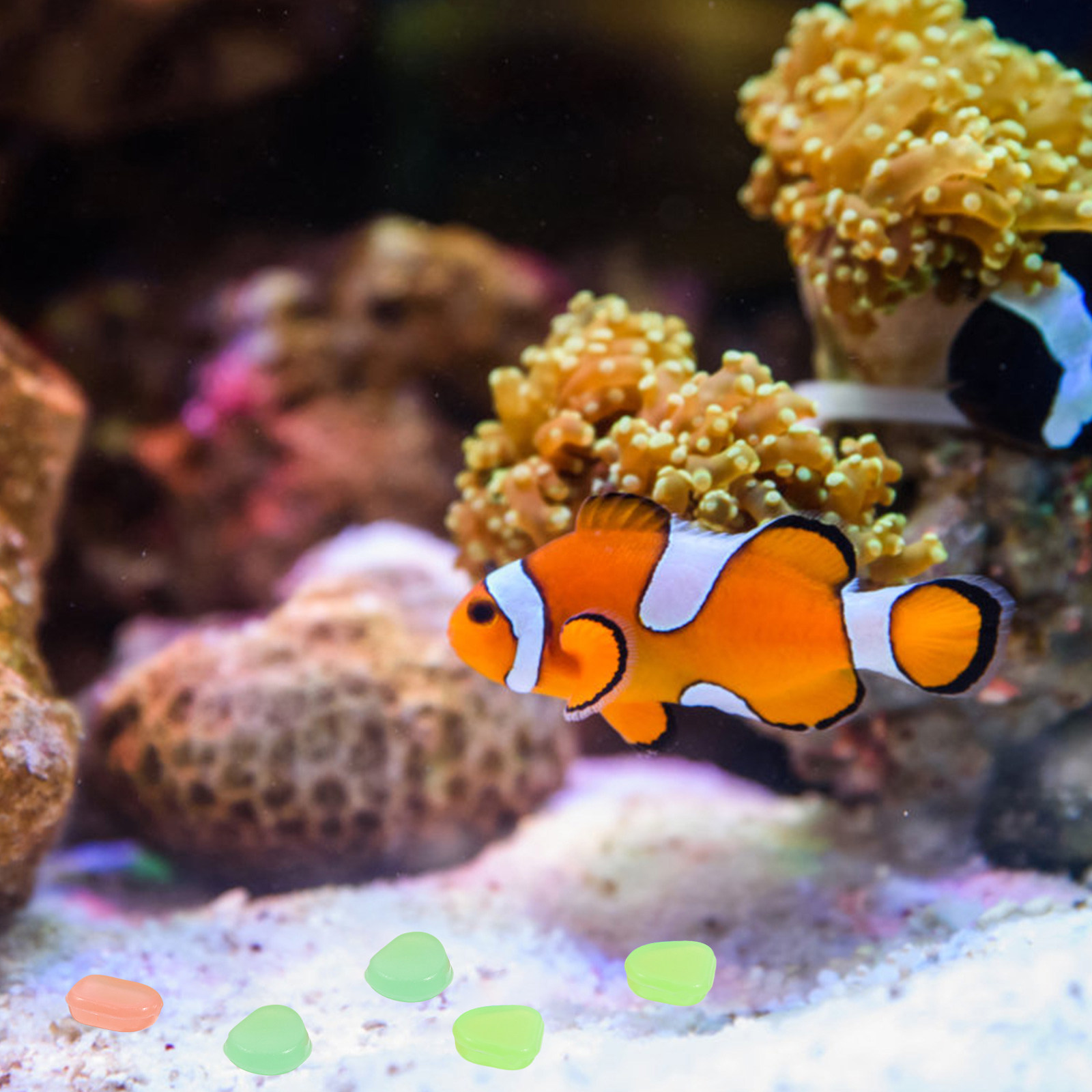 400Pcs Glowing Night Pebbles A - Aquarium Fish That Glow In The Dark ulasan dan harga