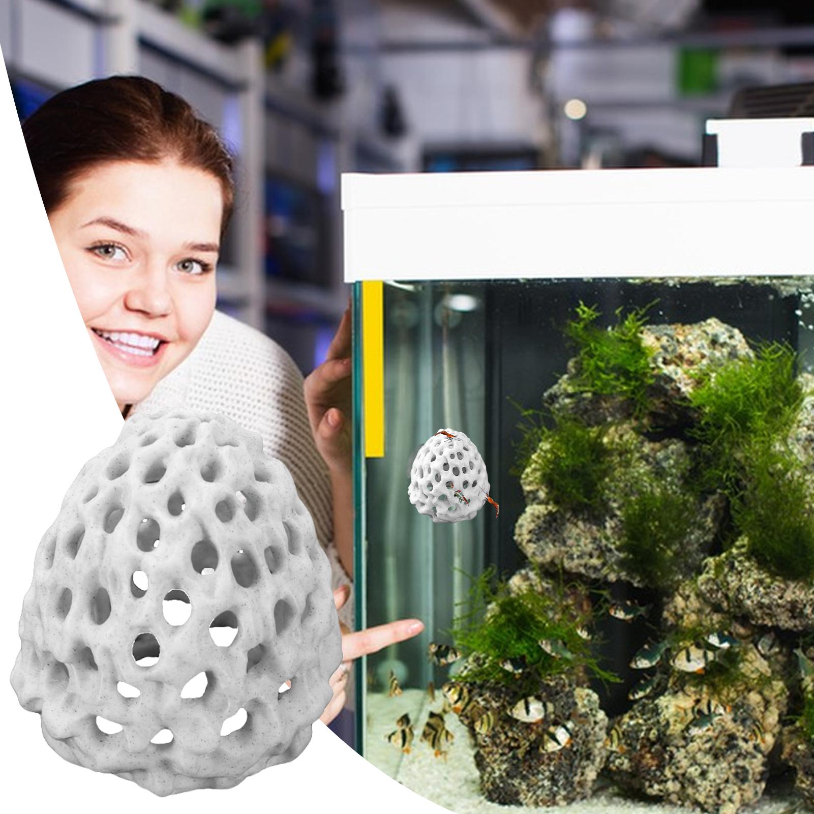 Small Aquarium shrimp house Ca - Aquarium Fish Hiding Spot ulasan dan harga