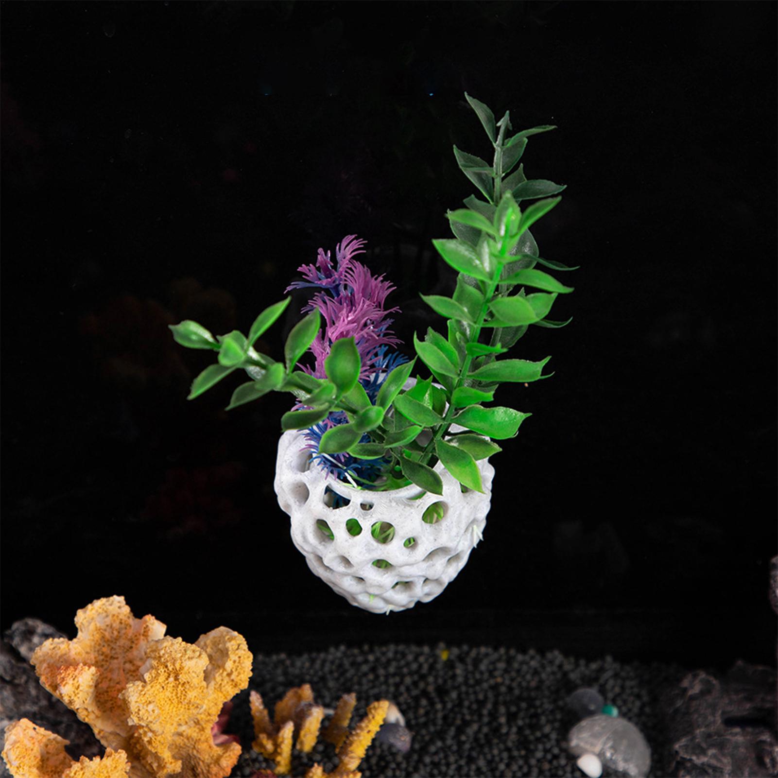 Small Aquarium shrimp house Ca - Aquarium Fish Hiding Spot ulasan dan harga
