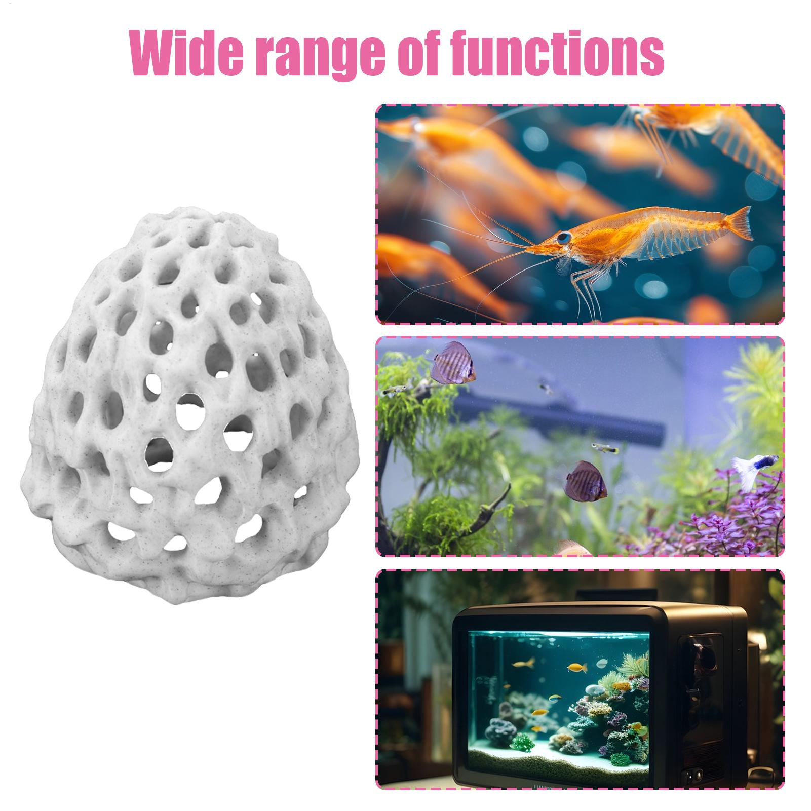 Small Aquarium shrimp house Ca - Aquarium Fish Hiding Spot ulasan dan harga