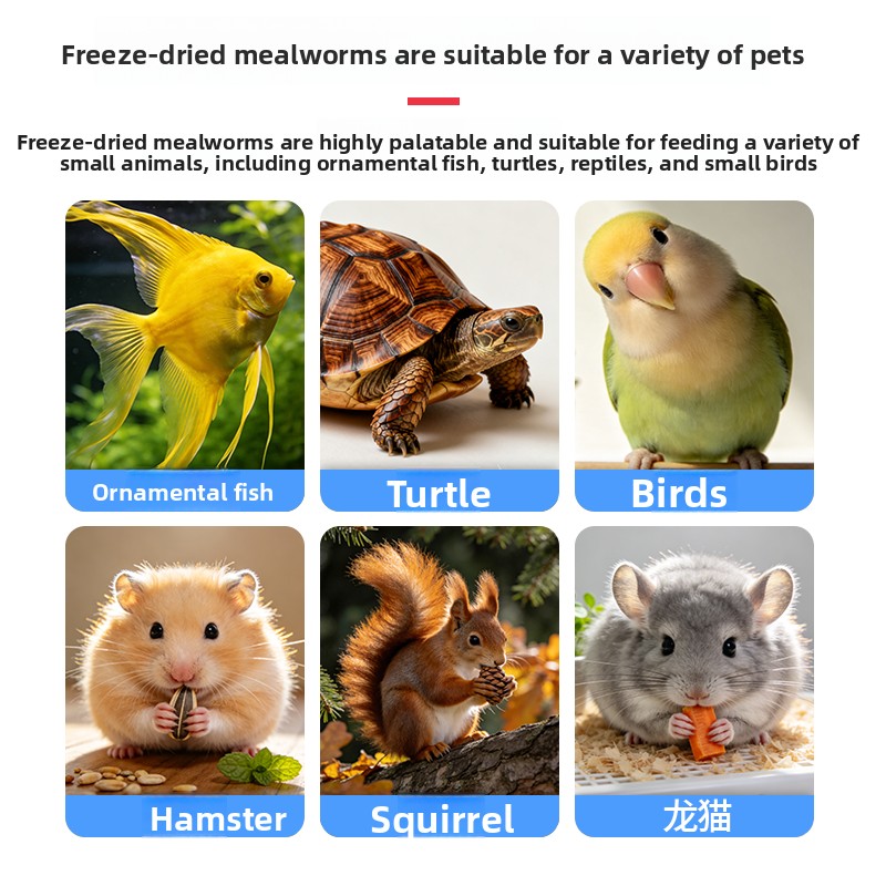 VOONLINE Freeze Dried Mealworm - Aquarium Fish Colorful ulasan dan harga
