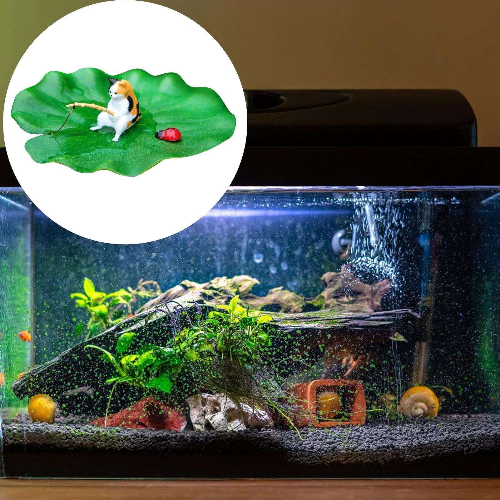 Cat Fishing on Floating Lily P - Aquarium Fish Names ulasan dan harga