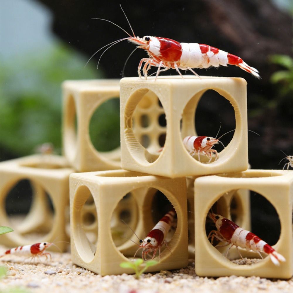 Geometric 3D Printed Aquarium  - Aquarium Fish Hiding Spot ulasan dan harga