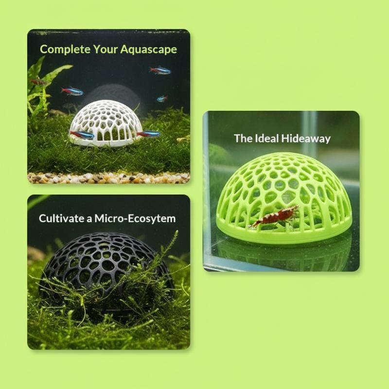 Aquarium shrimp house Cave Min - Aquarium Fish Hiding Spot ulasan dan harga