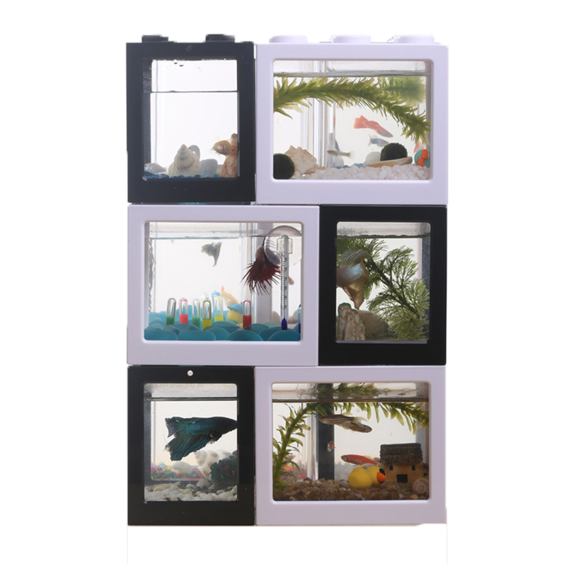 7 Color Mini Aquarium Betta Fi - Aquarium Fish Colorful ulasan dan harga