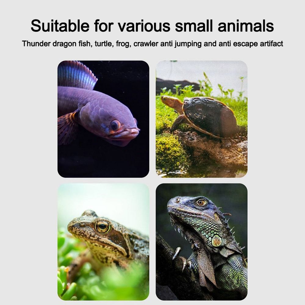 Durable Magnetic Fish Tank Lid - Aquarium Fish Jumping ulasan dan harga