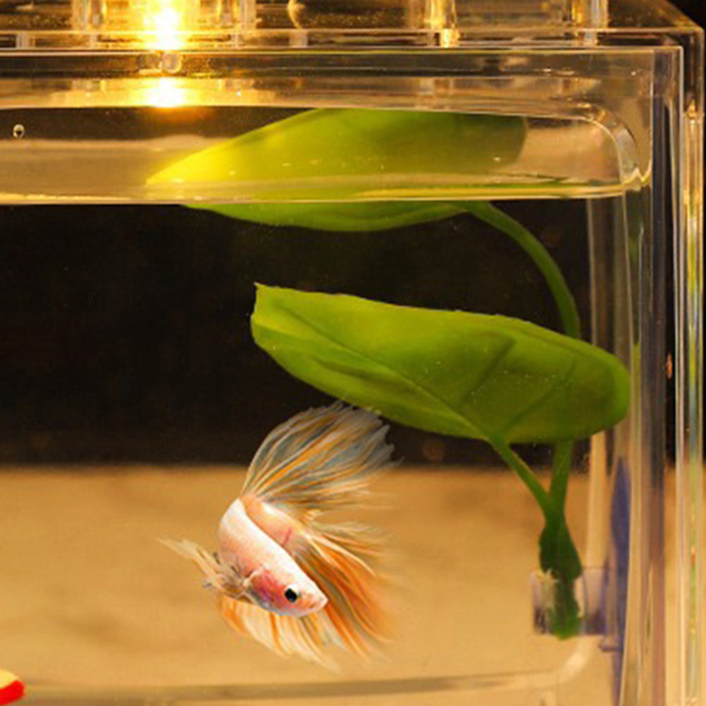 2Pcs Betta Leaf Sleeping Hammo - Aquarium Fish Hiding Spot ulasan dan harga