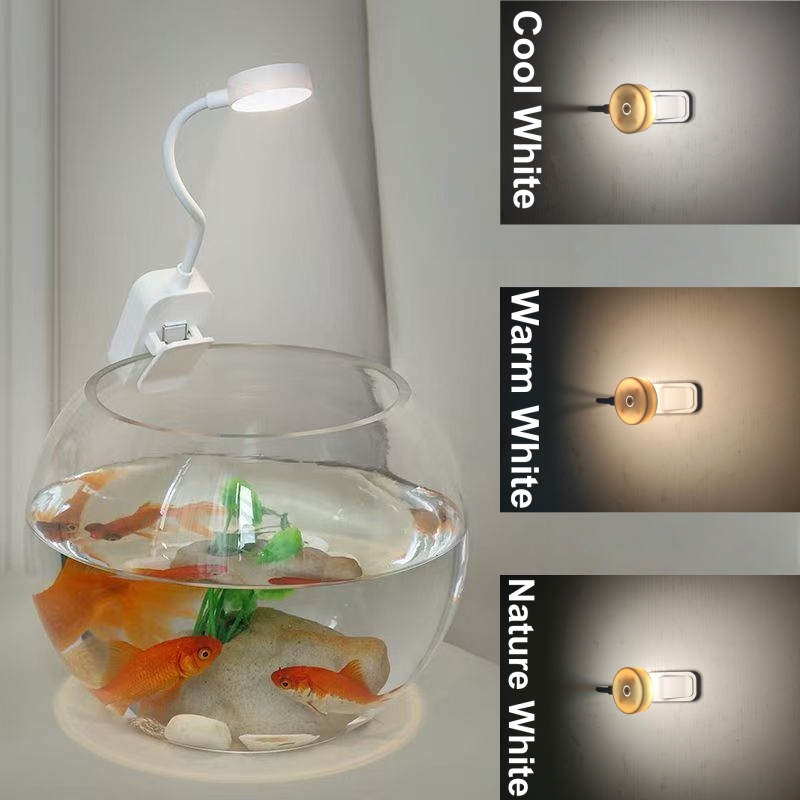 LED Aquarium Light Clip On Fis - Aquarium Fish Colorful ulasan dan harga