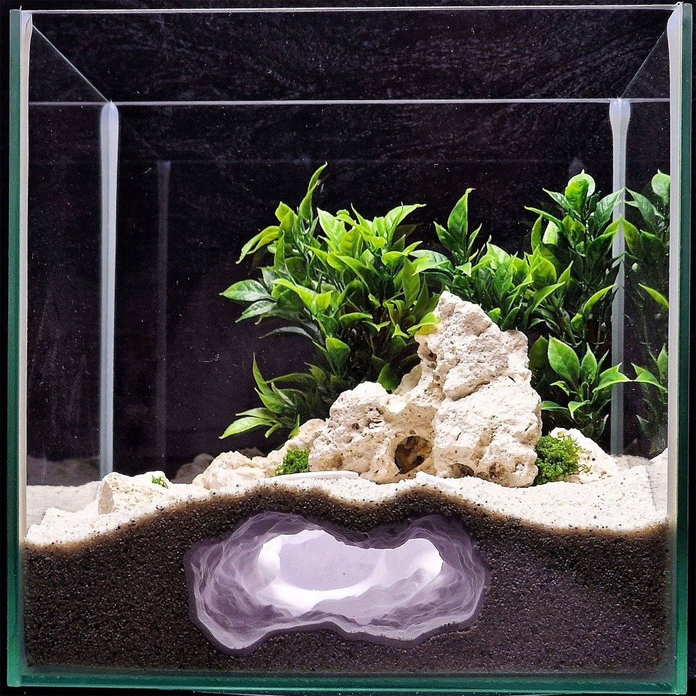 Highly Simulated Aquarium Fish - Aquarium Fish Hideout ulasan dan harga