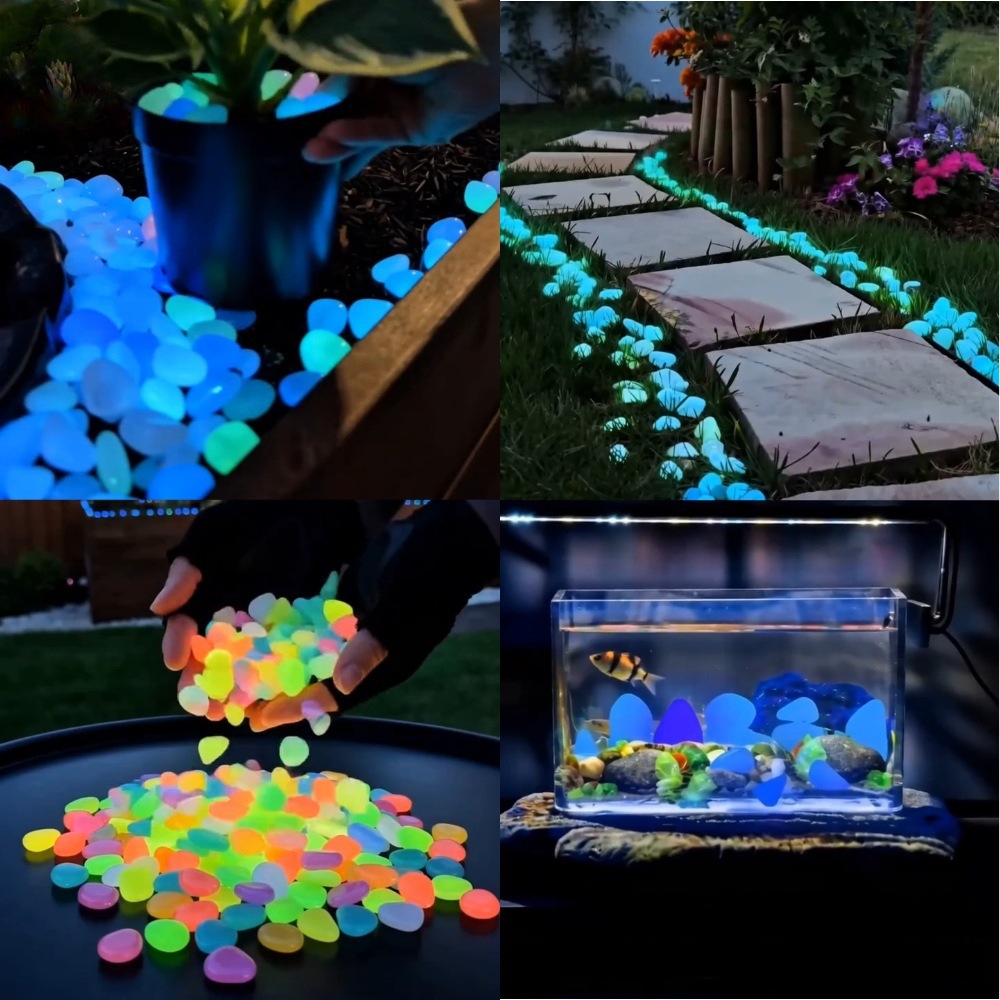 Colorful Glow In The Dark Lumi - Aquarium Fish Colorful ulasan dan harga