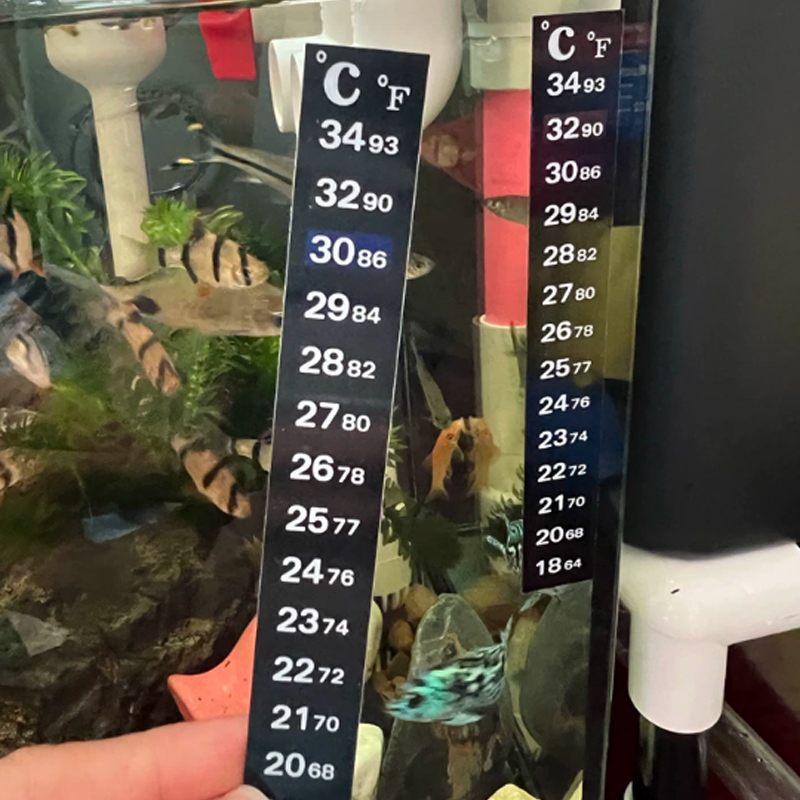 1/5 PCS High-Precision Thermom - Aquarium Fish Colorful ulasan dan harga