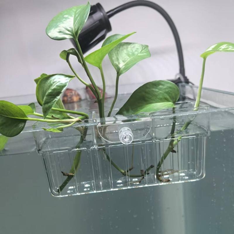 Hydroponic Plant Basket Food G - Aquarium Fish Usa ulasan dan harga