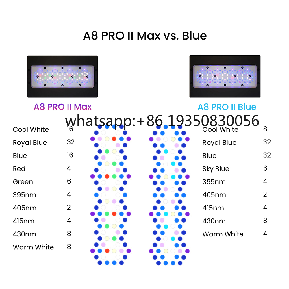 2026-A8 PRO II Max and Blue 24 - Aquarium Fish Usa ulasan dan harga