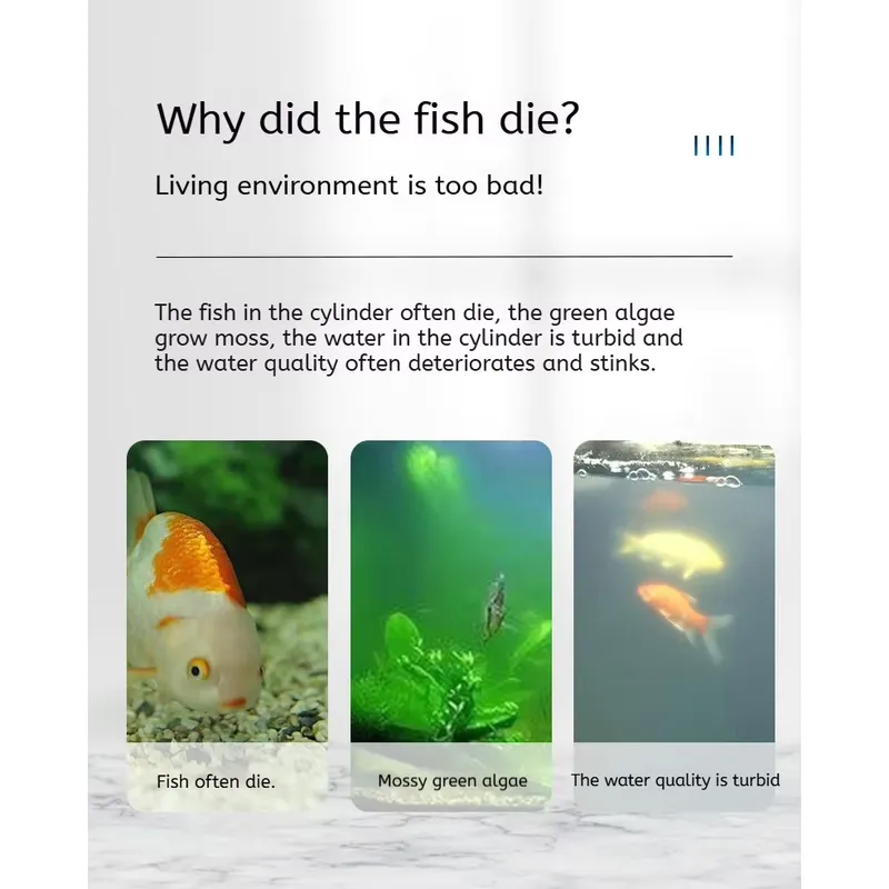 5W High Quality Eco-Friendly P - Aquarium Fish Quality ulasan dan harga