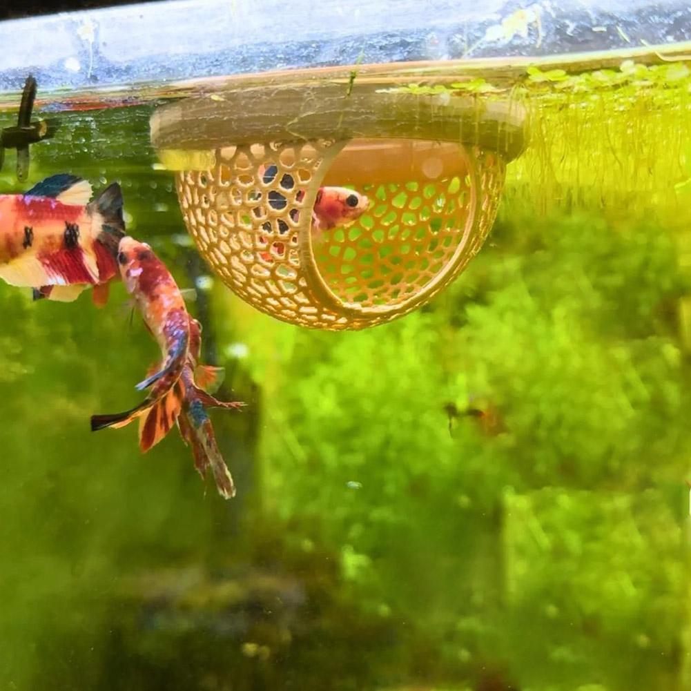 Aquarium Floating Cave Fish Sh - Aquarium Fish Hideout ulasan dan harga