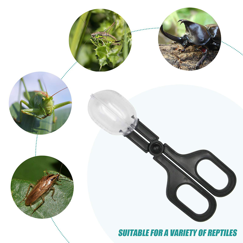 Portable Transparent Insect Ca - Aquarium Fish Bowl ulasan dan harga
