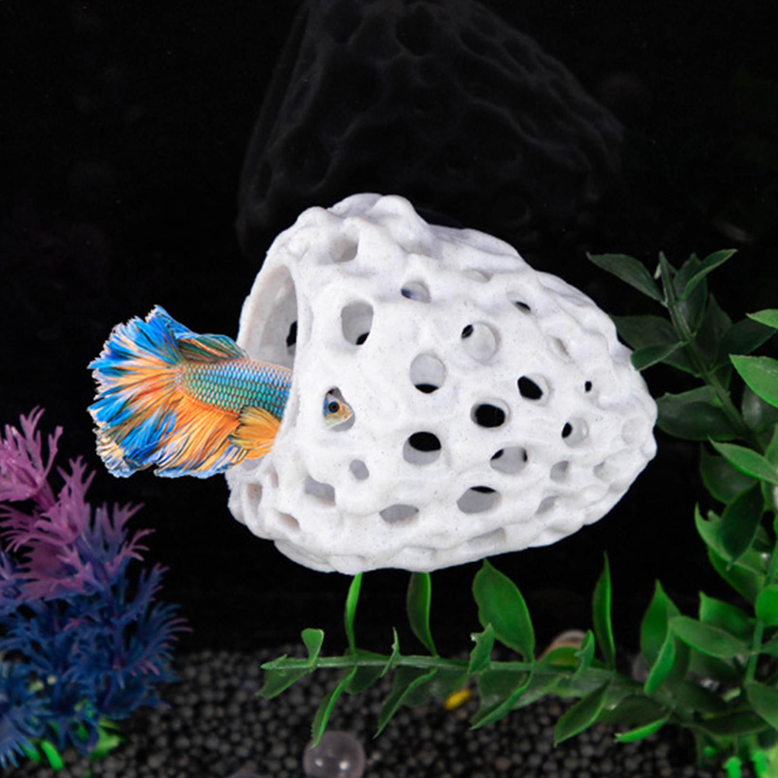 Aquarium shrimp house Cave Min - Aquarium Fish Hiding Spot ulasan dan harga