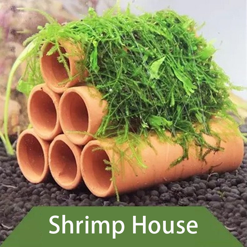 Clay Aquarium Decoration Fish  - Aquarium Fish Hideout ulasan dan harga
