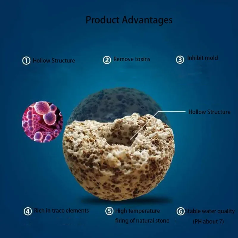 10pcs 20pcs High Quality  Aqua - Aquarium Fish Quality ulasan dan harga