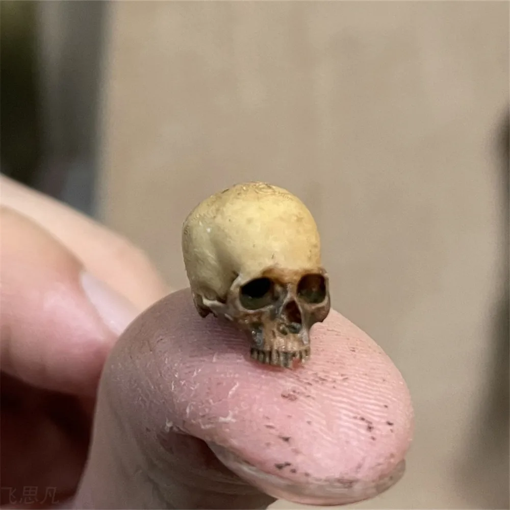 Mini Skull High Quality Miniat - Aquarium Fish Names ulasan dan harga