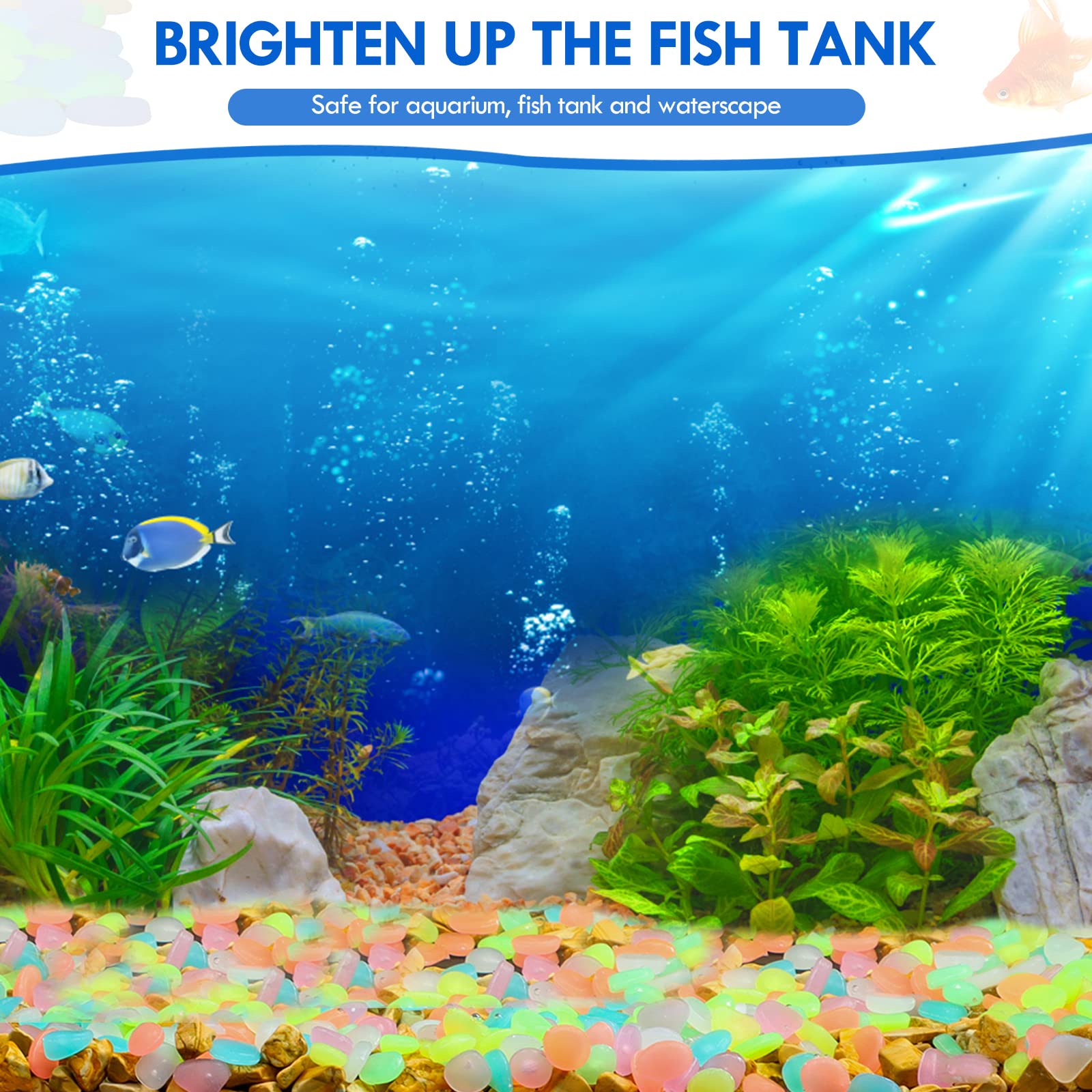 100Pcs Glow in the Dark Garden - Aquarium Fish That Glow In The Dark ulasan dan harga