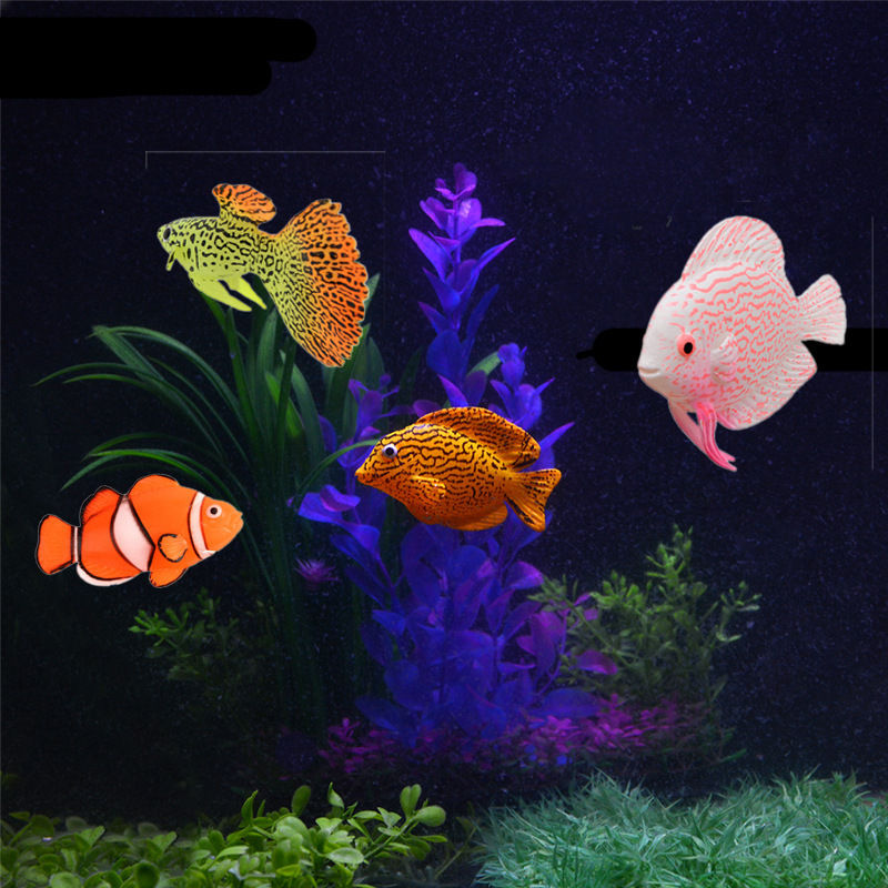 Glow in the Dark Luminous Sili - Aquarium Fish That Glow In The Dark ulasan dan harga