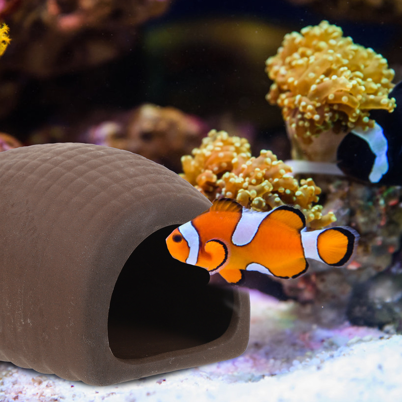 2Pcs Ceramic Aquarium Decor Fi - Aquarium Fish Hiding Spot ulasan dan harga