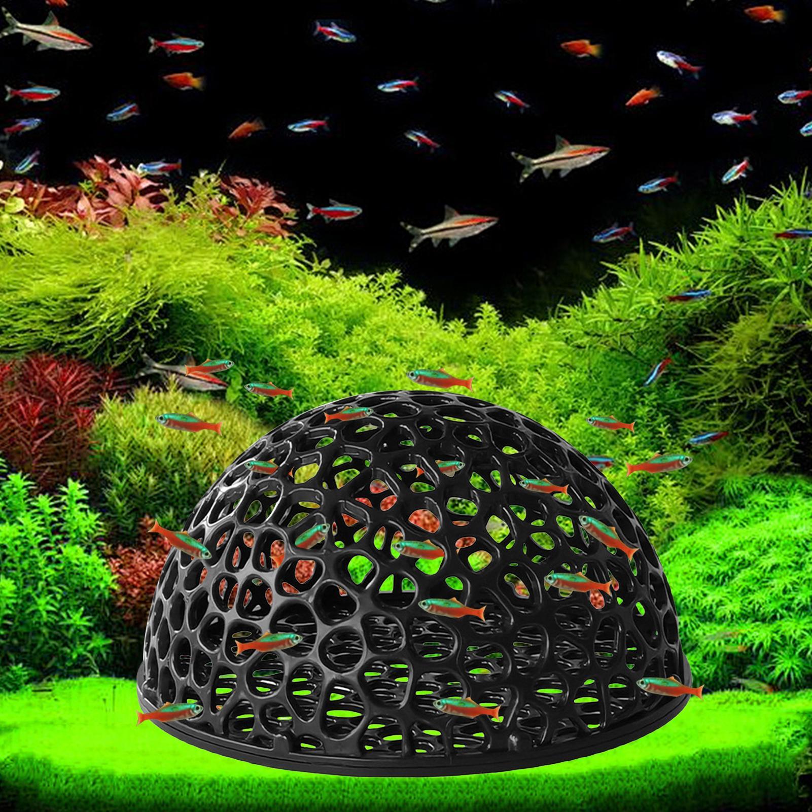 Aquarium shrimp house Cave Min - Aquarium Fish Hiding Spot ulasan dan harga
