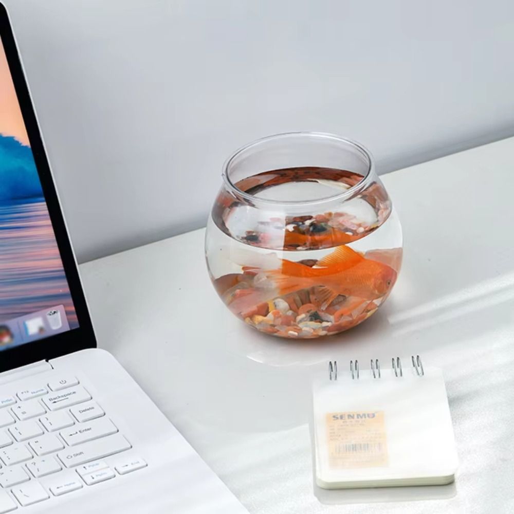 New Transparent Fish Tank Roun - Aquarium Fish Names ulasan dan harga