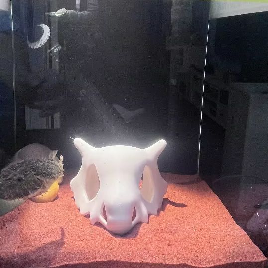 3D Printed FIsh Shrimp Reptile - Aquarium Fish Hideout ulasan dan harga